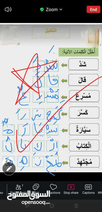تدريس مادة اللغة العربية ( ابتدائي) خبره خمس سنوات في مجال التأسيس والصفوف الأولية