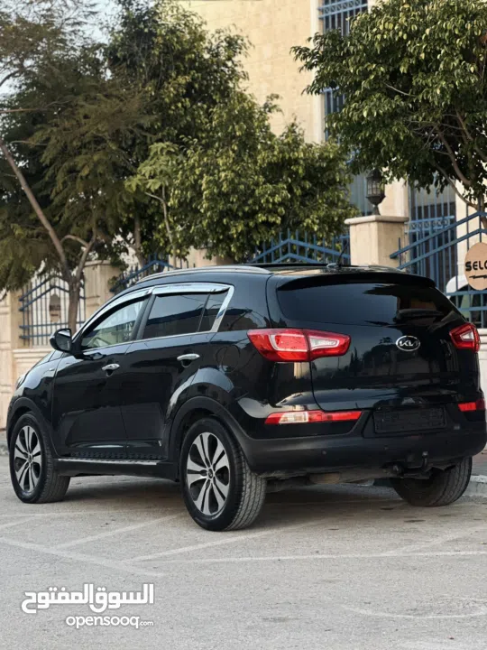 احمد سامي سليط