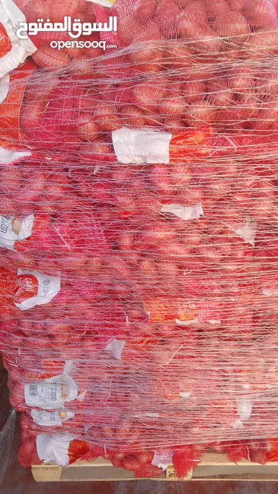 مشروع تجاري مربح