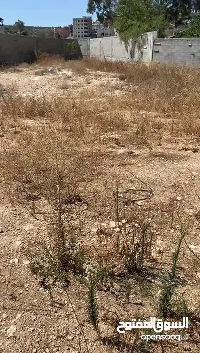 ارض مميزة للبيع