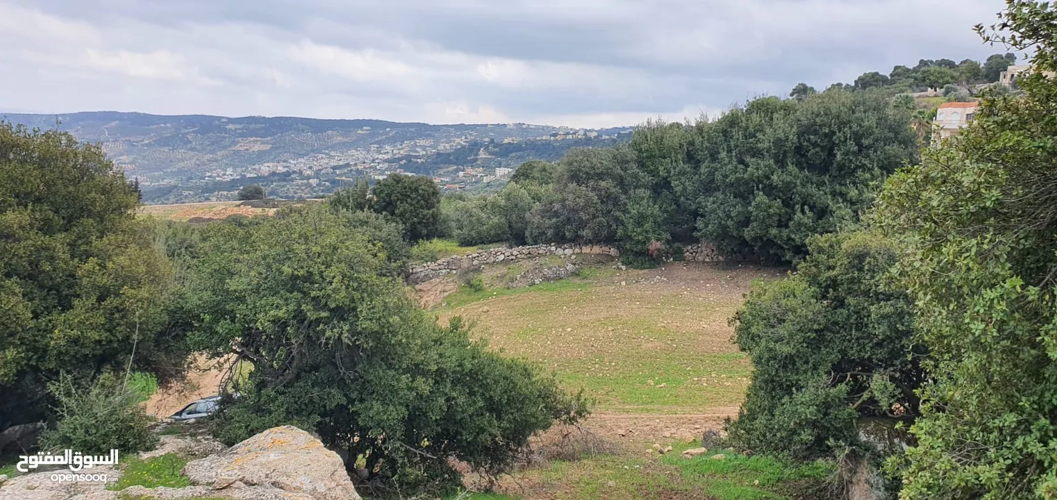 زي 1600 م منطقة حرجيه