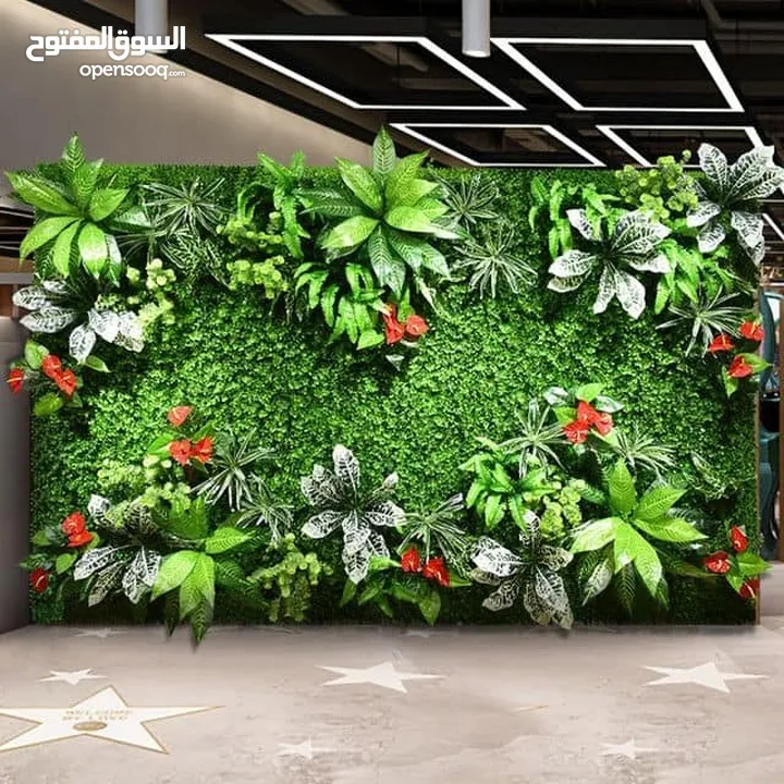 جمال الزرع المعلق الـ Green Wall  علي الحائط يستخدم في العديد من الامكان