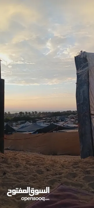 صور للبيع من غزة