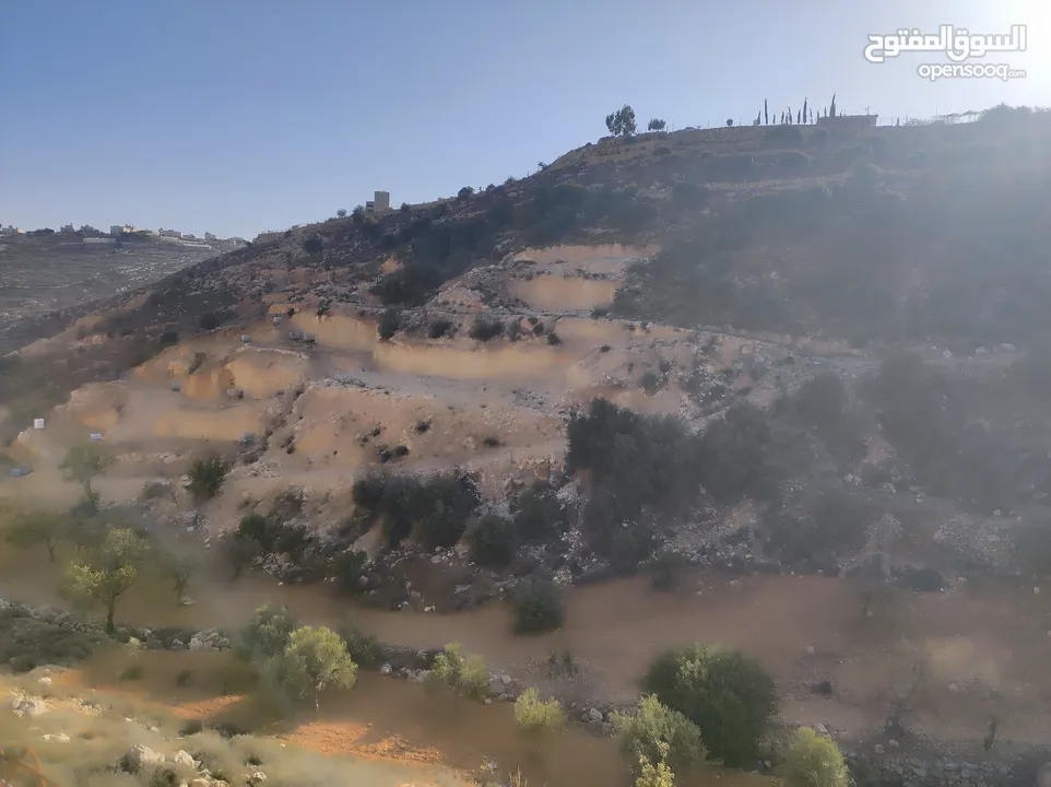 ارض للبيع 1000 متر طابو ابو نجيم