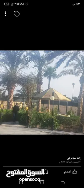 معرشات قصيب على جميع الاشكال الهندسيه