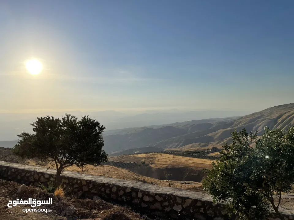 ارض مزرعة للبيع في مغاريب السلط من المالك مباشرة