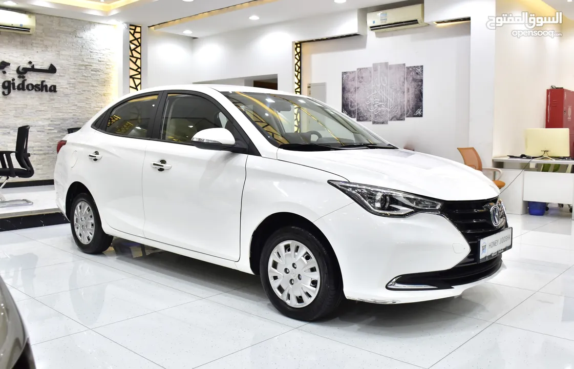 Changan Alsvin 1.5L ( 2024 Model ) in White Color GCC Specs