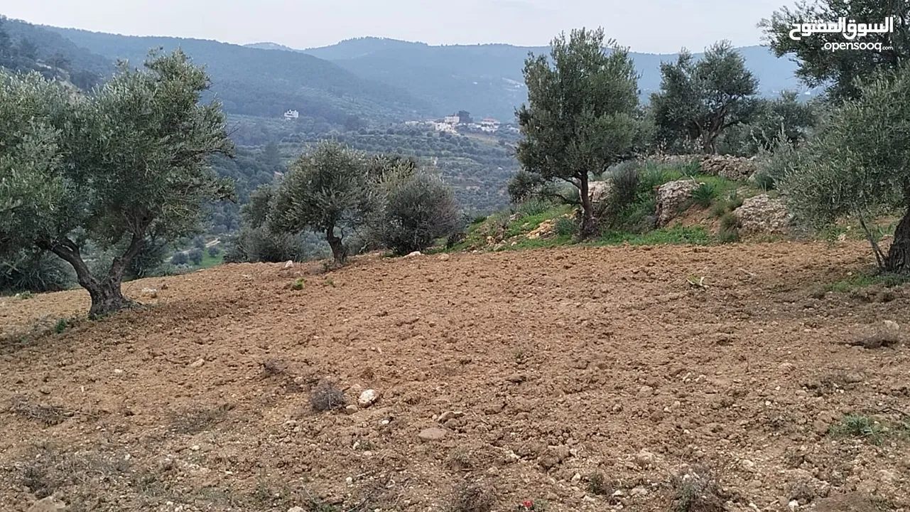 أرض مميزة جداً لعمل شاليه استثماري أو مزرعة خاصة أو مزرعة تجارية يوجد بها قناة ماء من المالك مباشرة
