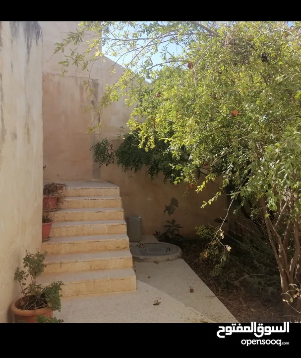 بيت مستقل طابقين / أجمل اطلالة على جبال عجلون في لواء كفرنجه ( اقرأ الوصف بالإعلان)...