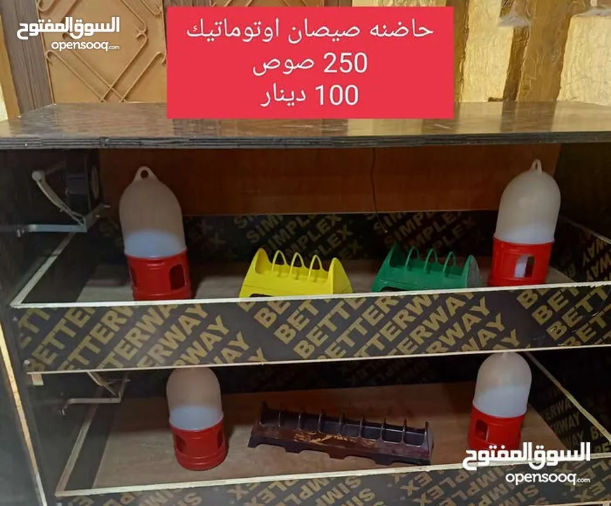 فقاسات اوسكار  احدث اصدار 2025
