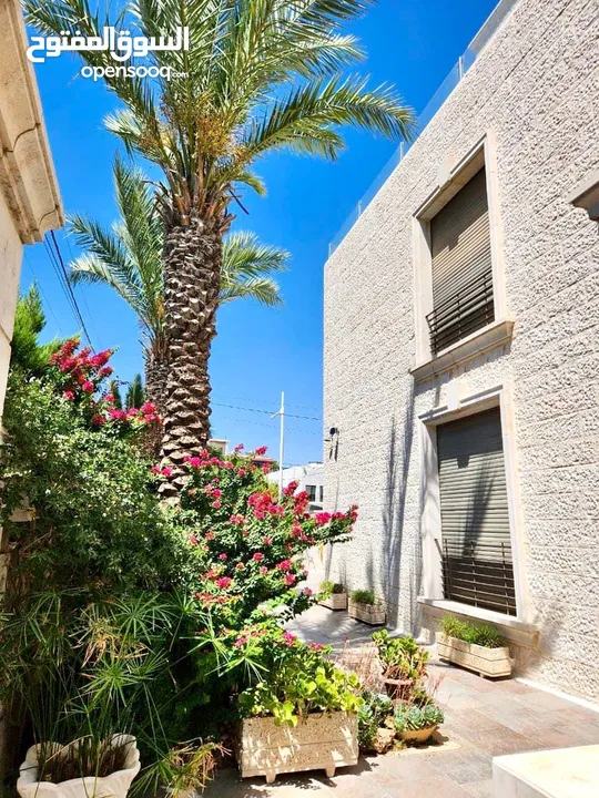 Furnished Villa to Rent  ( Property 39606 )-174805232