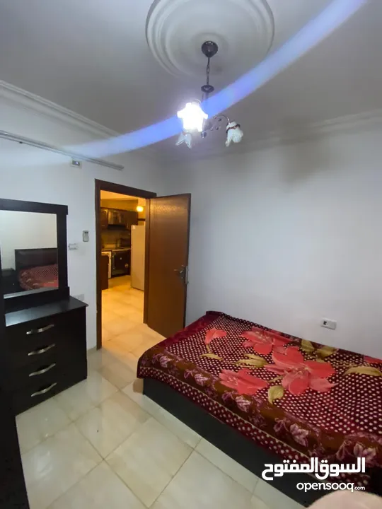 شقه مفروشه طابق ارضي مجهزة بالكامل غرفتين نوم وصاله ومطبخ وحمام وبرندة  شارع الجامعه طلاب اوطالبات