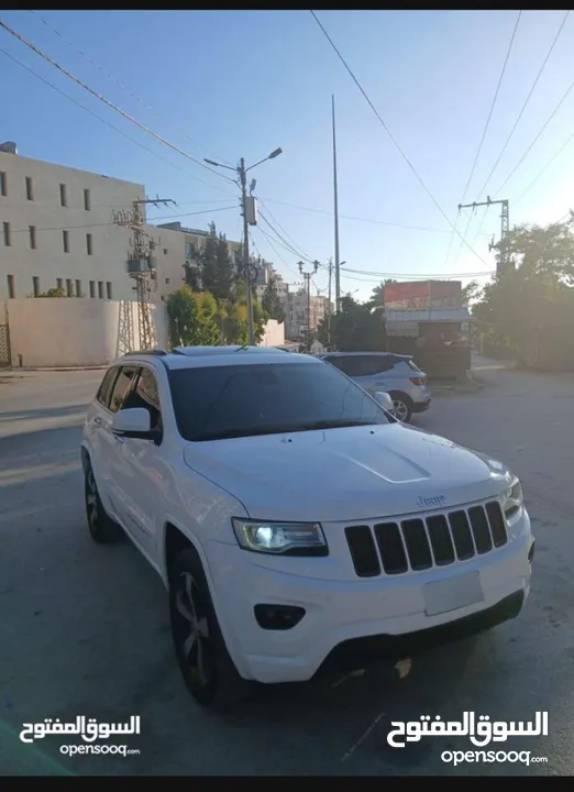 جيب فل كرتونه