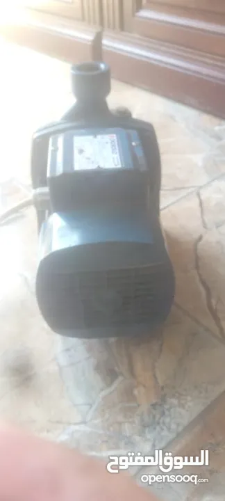 مضخه حصان فراشه عريض اطالي