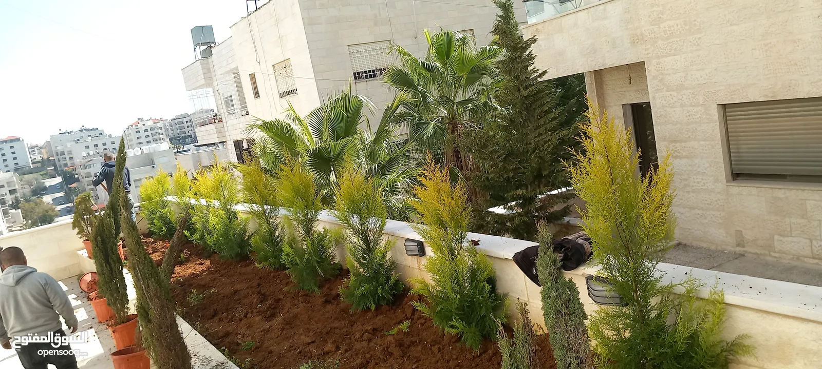 شمس و ورد لتنسيق وصيانة الحدائق
