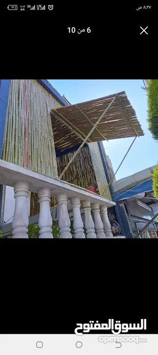 معرشات قصيب على جميع الاشكال الهندسيه