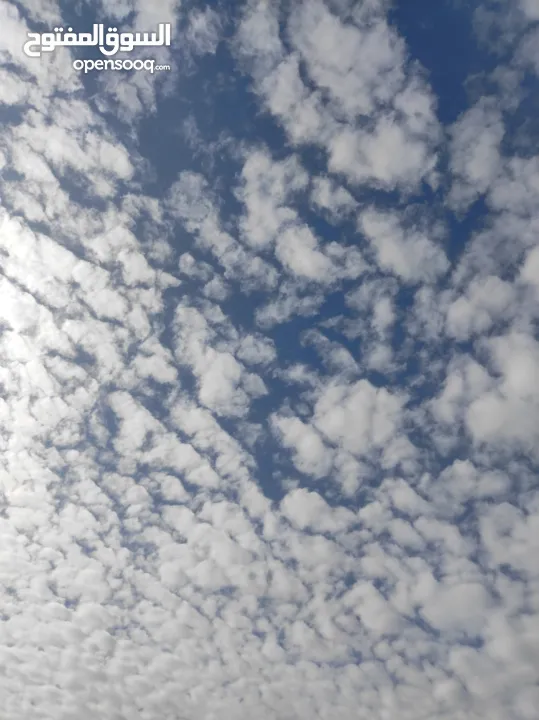 غااغتتبتبتتبتبت