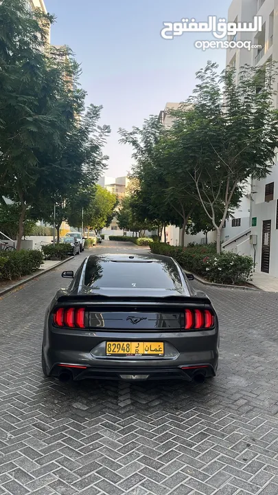 Mustang ecoboost  Very good condition  With roush filter