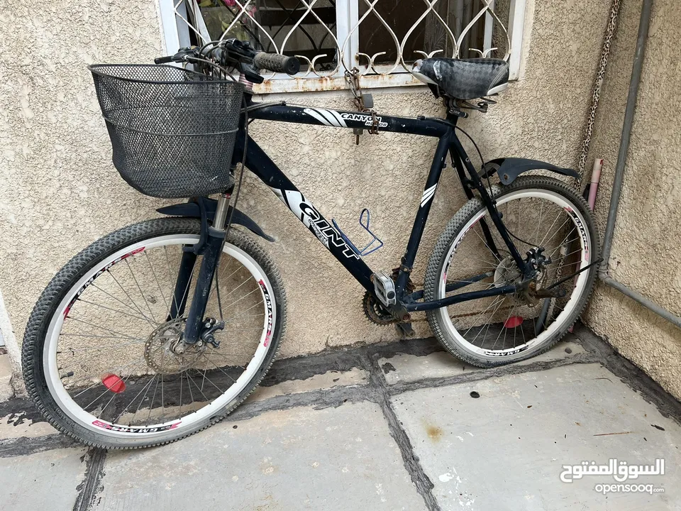 دراجة هوائية ( بايسكل )