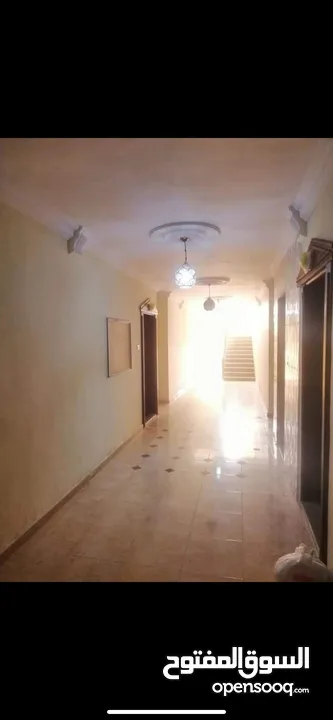 شقة استثمارية جديدة بسعر مغري جدا اربد