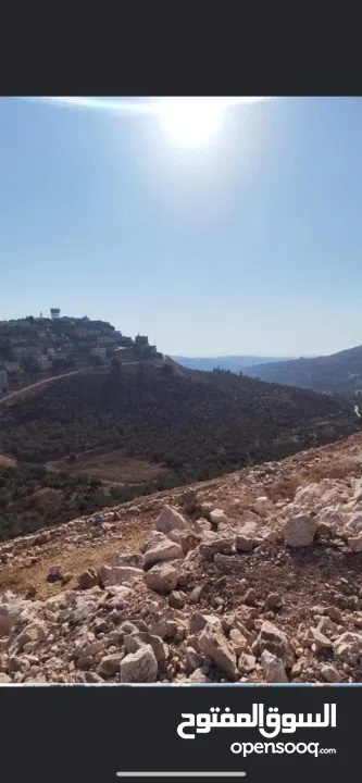 ممول او شريك او مقاول لبناء عمارة