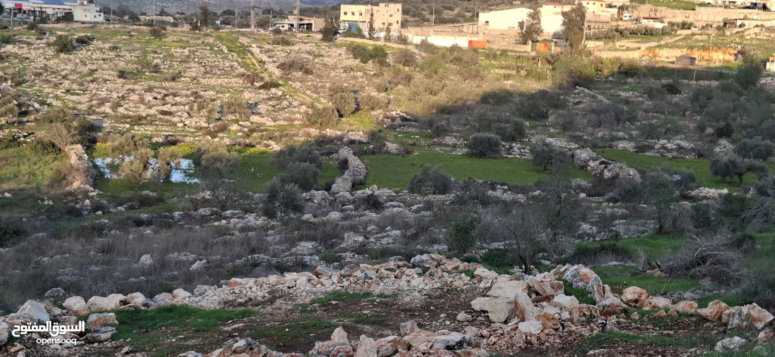 800متر طابوا فلسطيني في اجمل موقع بالكفريات واطلالة مميزةمنطقة( b)صالحة للبناء