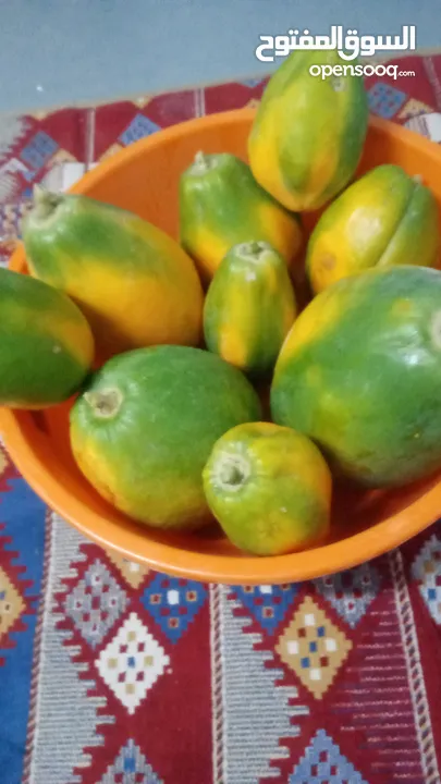 omani papaya