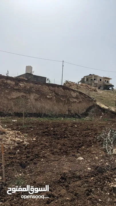 ارض مميزة محفورة بسعر مناسب