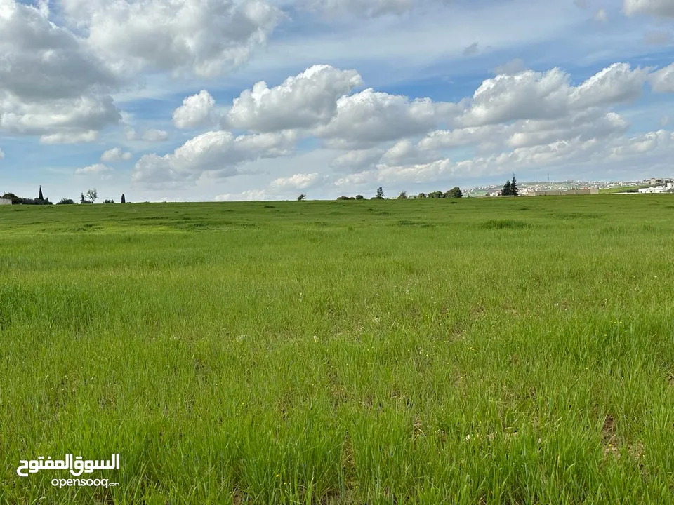 أراضي للبيع  في منجا مهتم للتواصل على الخاص او واتساب