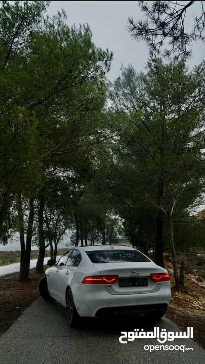 Jaguar  XE