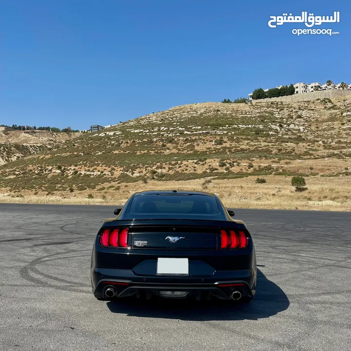 Ford Mustang 2019 Ecoboost 2.3 10 speed Low mileage