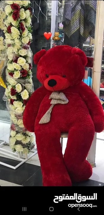 دب احمر كامل
