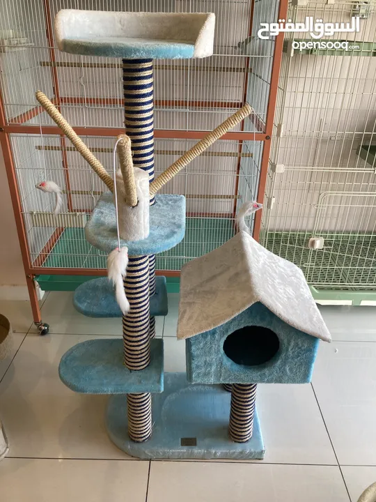 This awesome cat tresss with scratchers  And in prices we will make discount and free home delivery