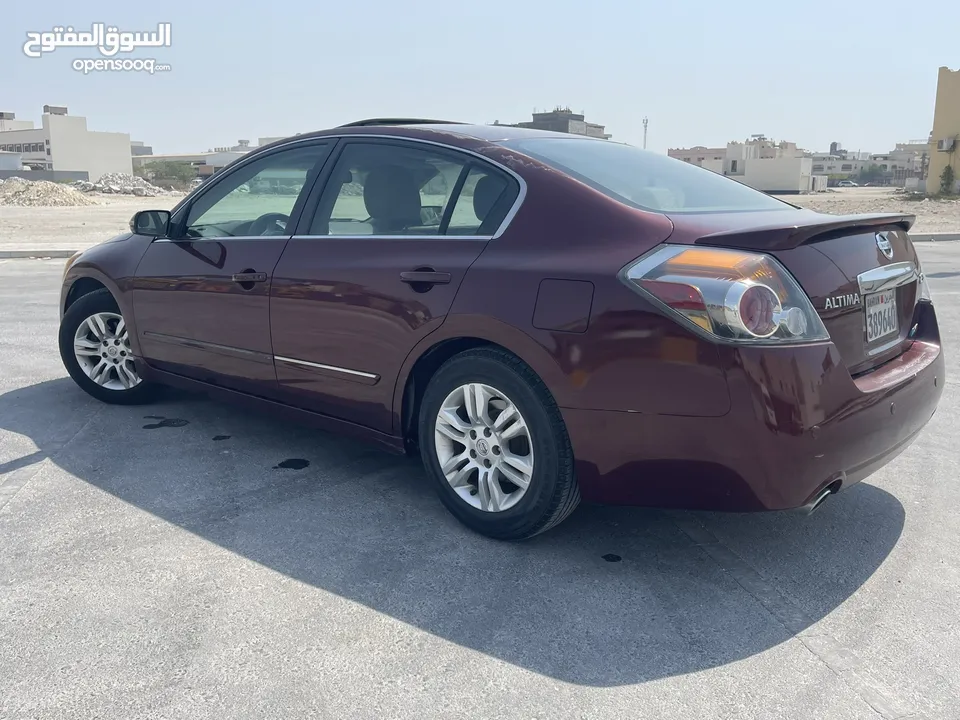 التيما فل ابشن