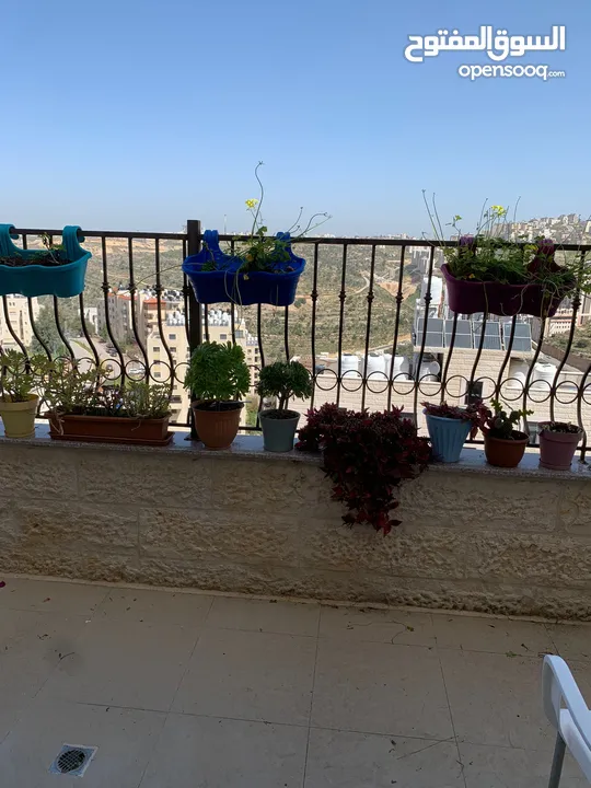 شقة مفروشة للايجار