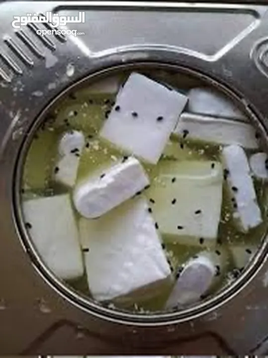 نصيات جبنه