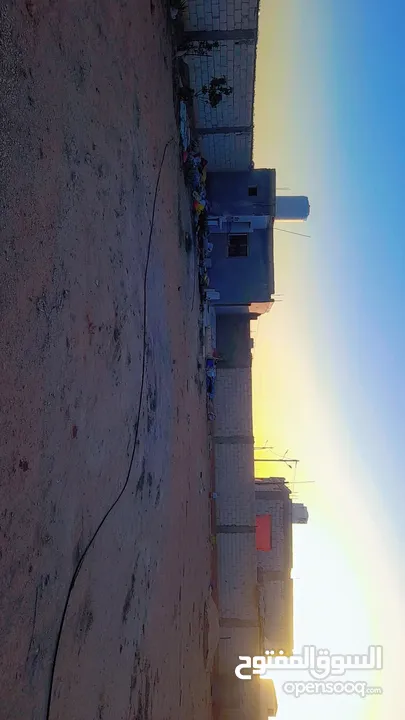 عبد المعطي