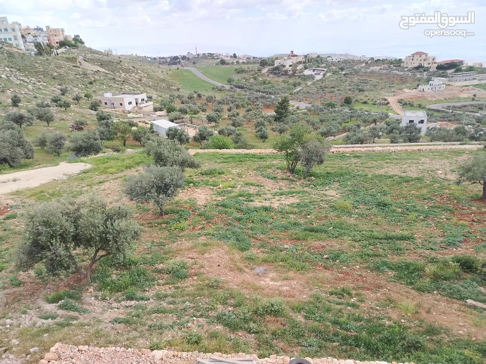 2300 م السلط المغاريب قطعة ملوكية تصلح ل فيلا او مزرعة اطلالة ع الغرب و جبال فلسطين