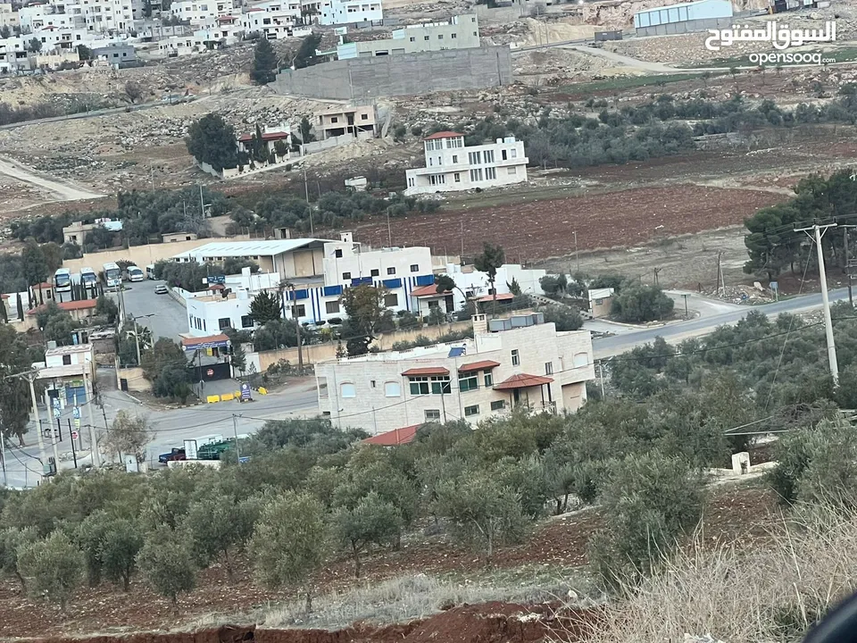 ارض للبيع سكنيه بجانب ترخيص جرش منبسطة مثل الكف بجانب فلل حديثه مساحة 800m مفروزه