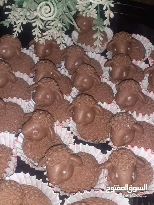 شكولاته بلجيكيه