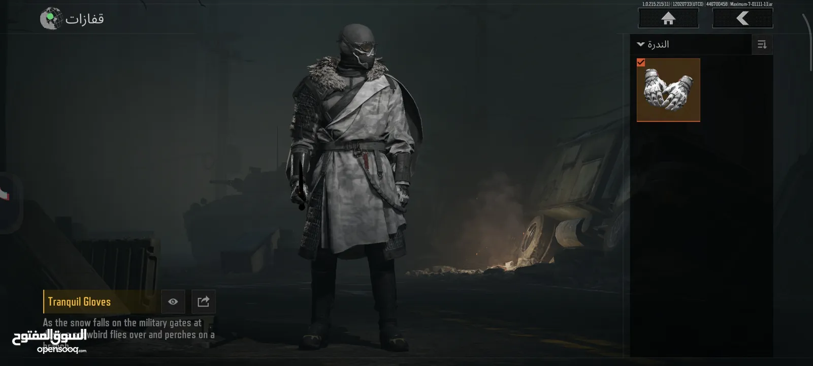 حساب Arena Breakout Mobile