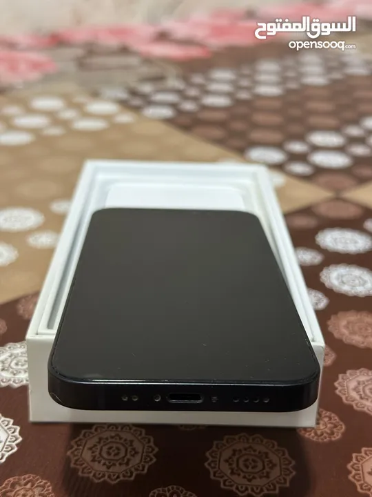 iPhone 12 mini