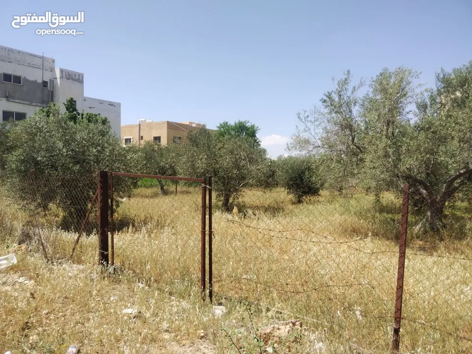 بيت طابقين للبيع