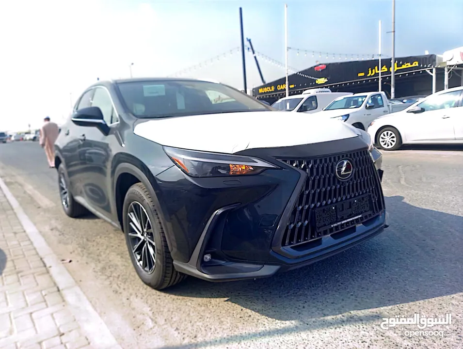 Lexus NX350 Hybride,2024,Germany