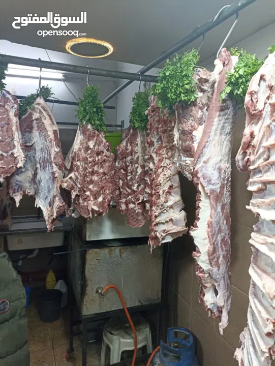 ملحمة ومسلخ خاص وأرض "مرزعة" للبيع