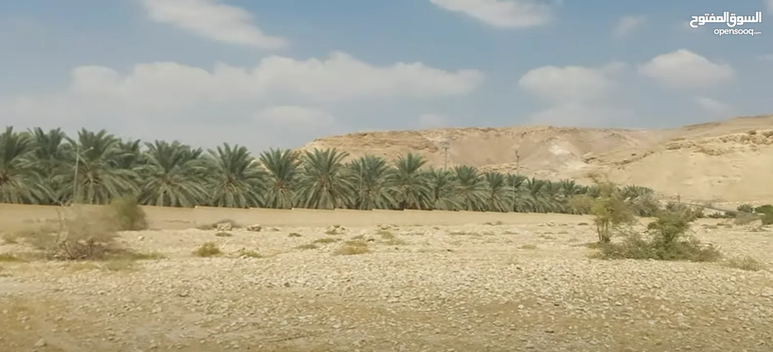 مطلوب أرض للبيع 600 م او مساحات اخرى لشاليه في مناطق الغور والبحر الميت