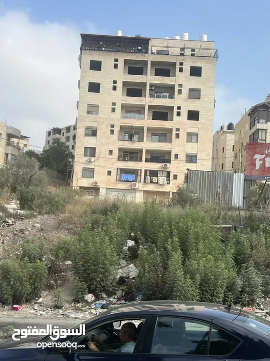 شقة عظم اول المعاجين
