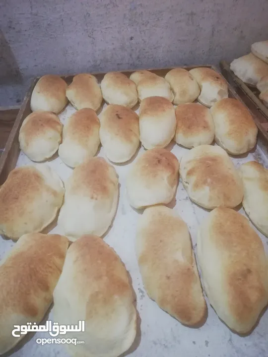 خباز خبز لبناني و شامي وكماج مصري أكثر من 10 سنوات خبره