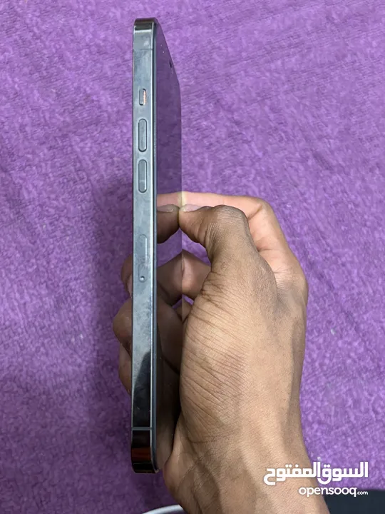 12 برو ماكس