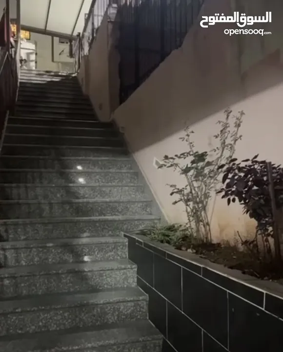 دلال عطوان خليل زين